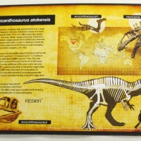 Rebor Hercules Acrocanthosaurus Atokensis 1:35 Scale Dinosaur Statue Review