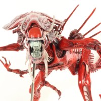 Aliens Genocide Red Queen Mother Deluxe NECA Toys Comic Book Action Figure Review