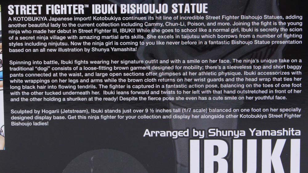 Bishoujo Ibuki Kotobukiya Street Fighter Capcom Video Game Statue Review